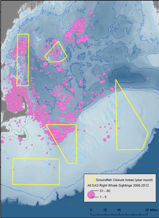 Right whales in closed areas map