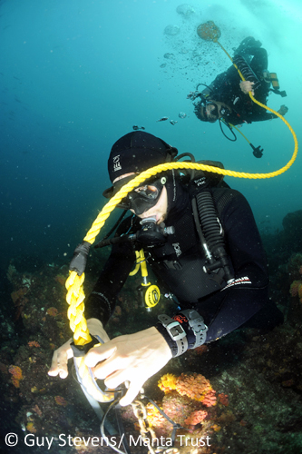 Researchers Attaching Listening Station to Reef. Photo: Guy Stevens/Manta Trust