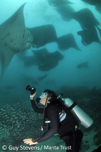 Volunteer Diver. Photo: Guy Stevens/Manta Trust