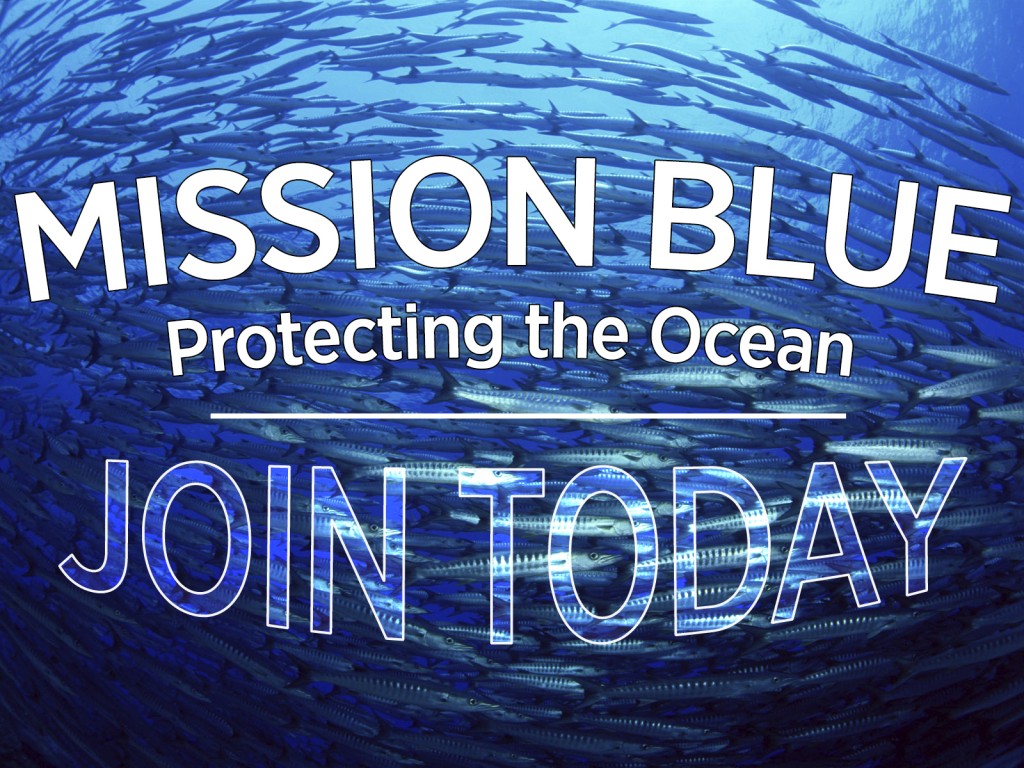 Mission_Blue_Join_Today